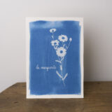 illustration d'une marguerite tirée sur papier aquarelle avec la technique du cyanotype