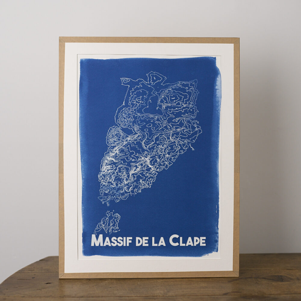 Cyanotype- 99