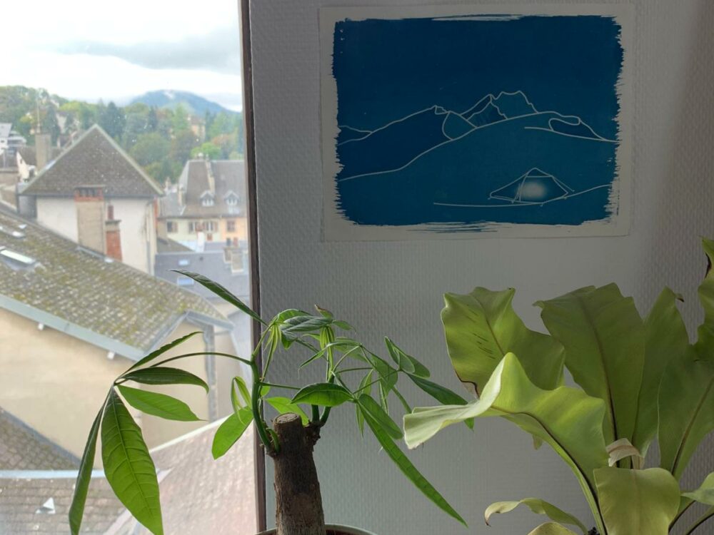 Cyanotype dans une décoration d'intérieur