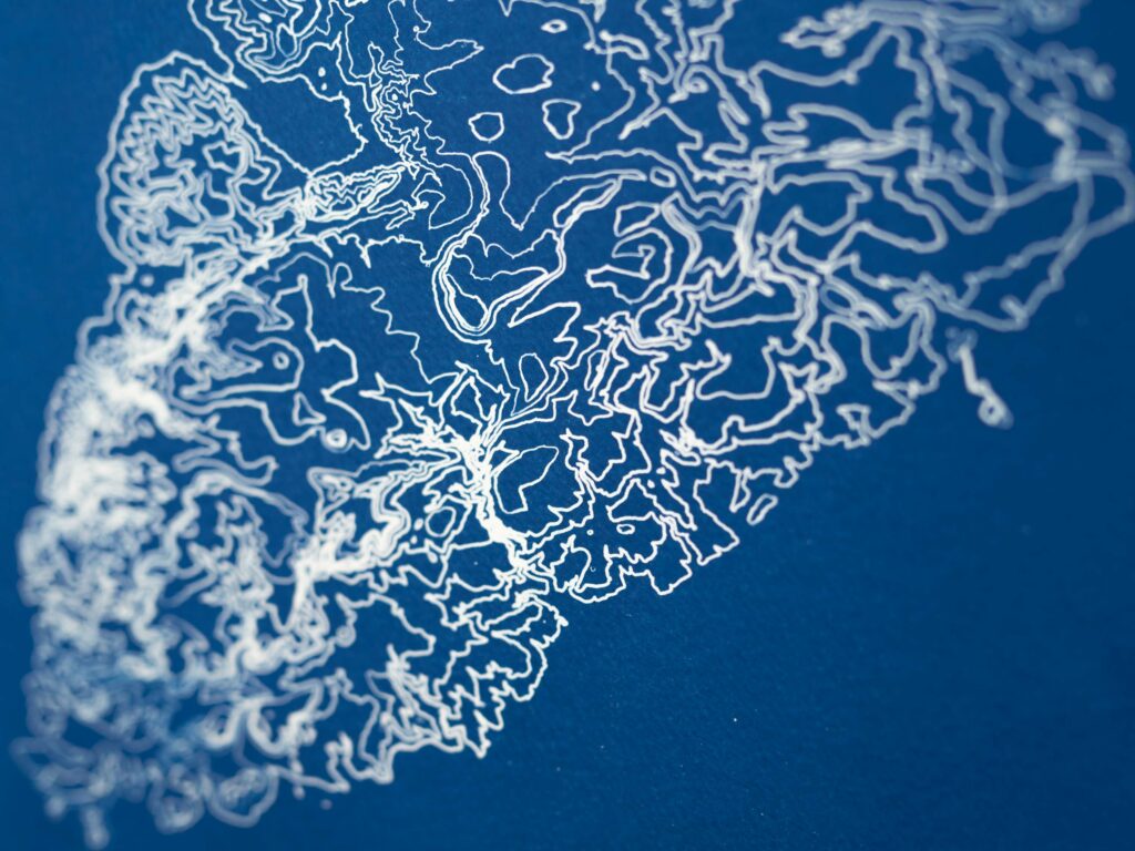 Cyanotype original de Julie B., détail du massif de la Clape en bleu de Prusse et blanc