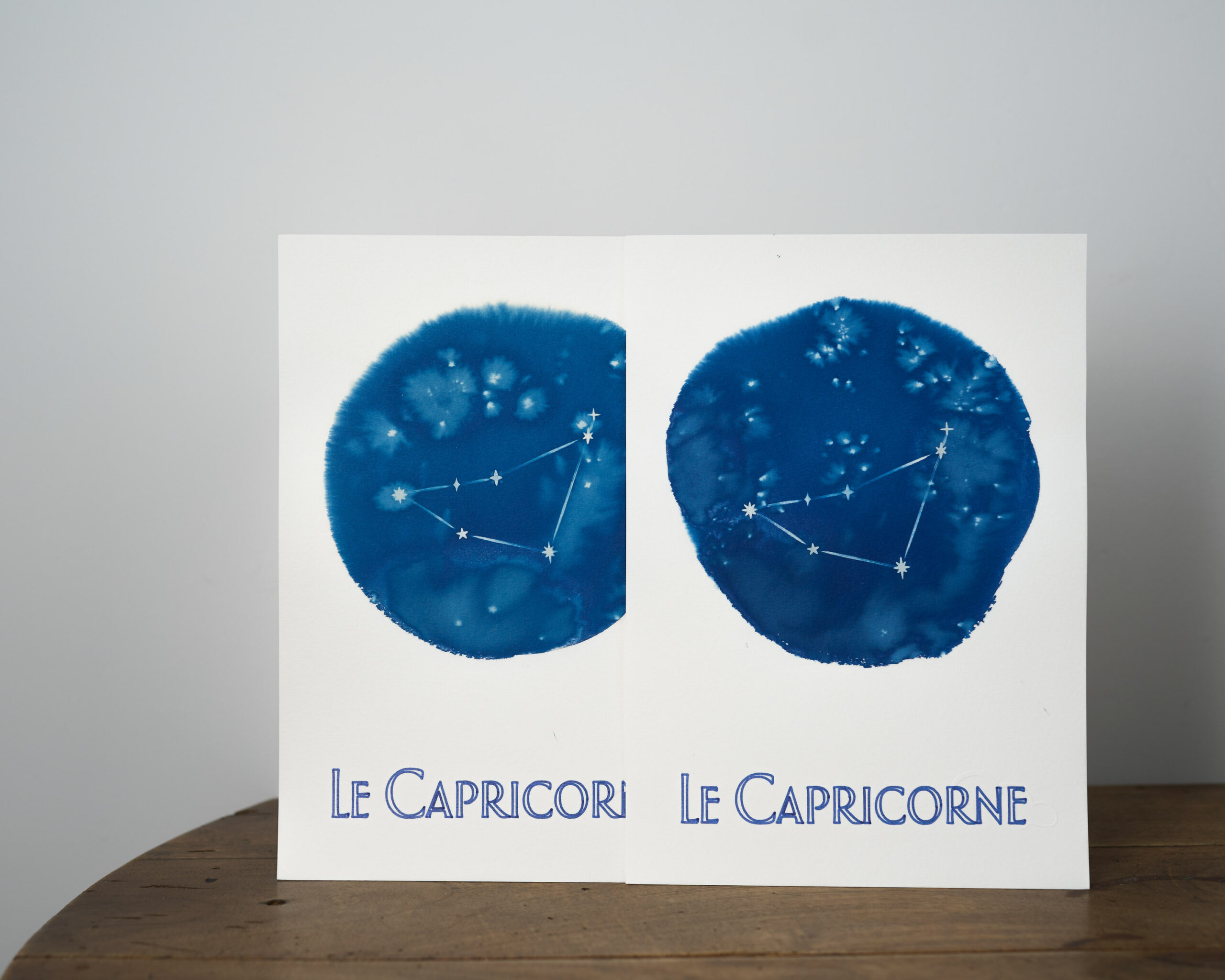 Le capricorne