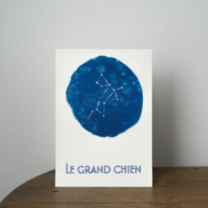 Le grand chien