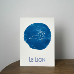 Le lion