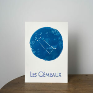 Les gémeaux