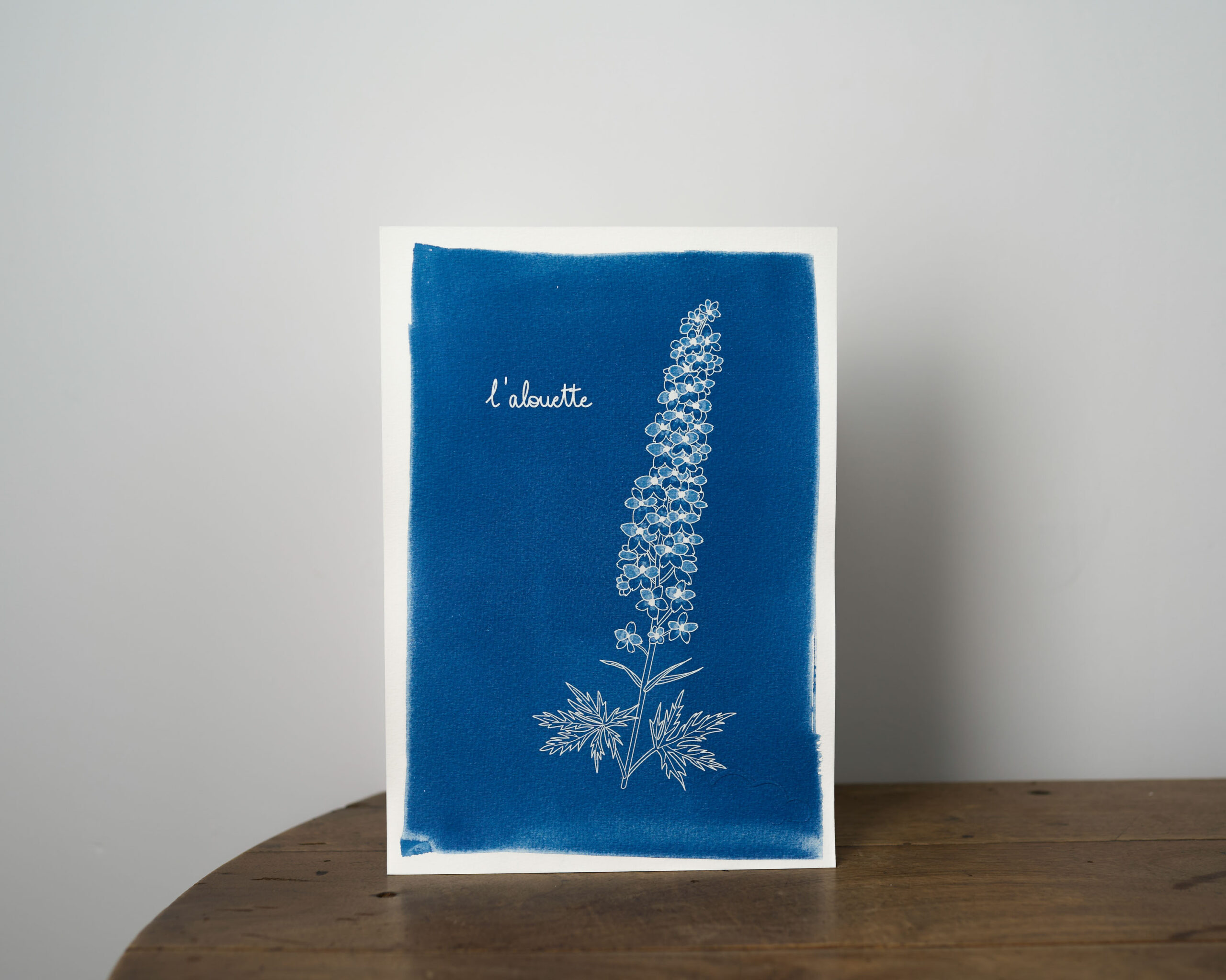 fleur-Alouette2-A4
