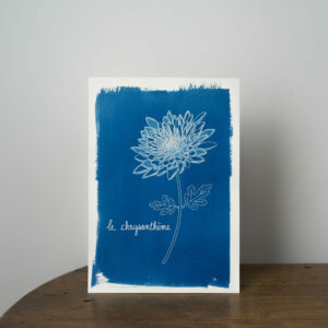 Le chrysanthème
