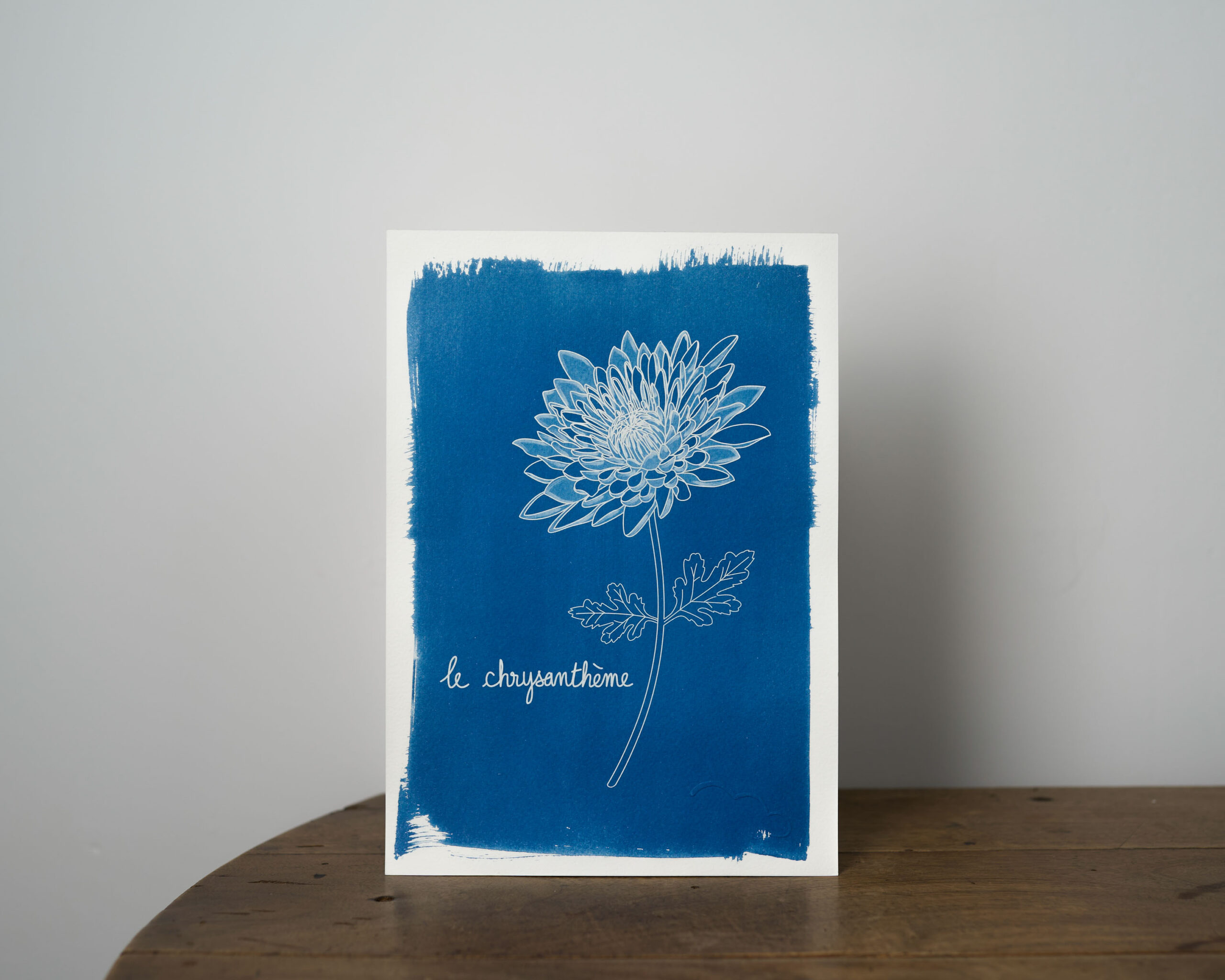 fleur-chrysantheme-A4