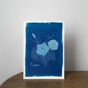 Affiche cyanotype A4 ipomée - fleur de naissance de mois de septembre