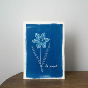 Affiche cyanotype A4 - jonquille