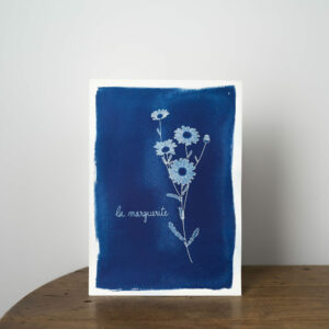 Affiche A4 Cyanotype - marguerite