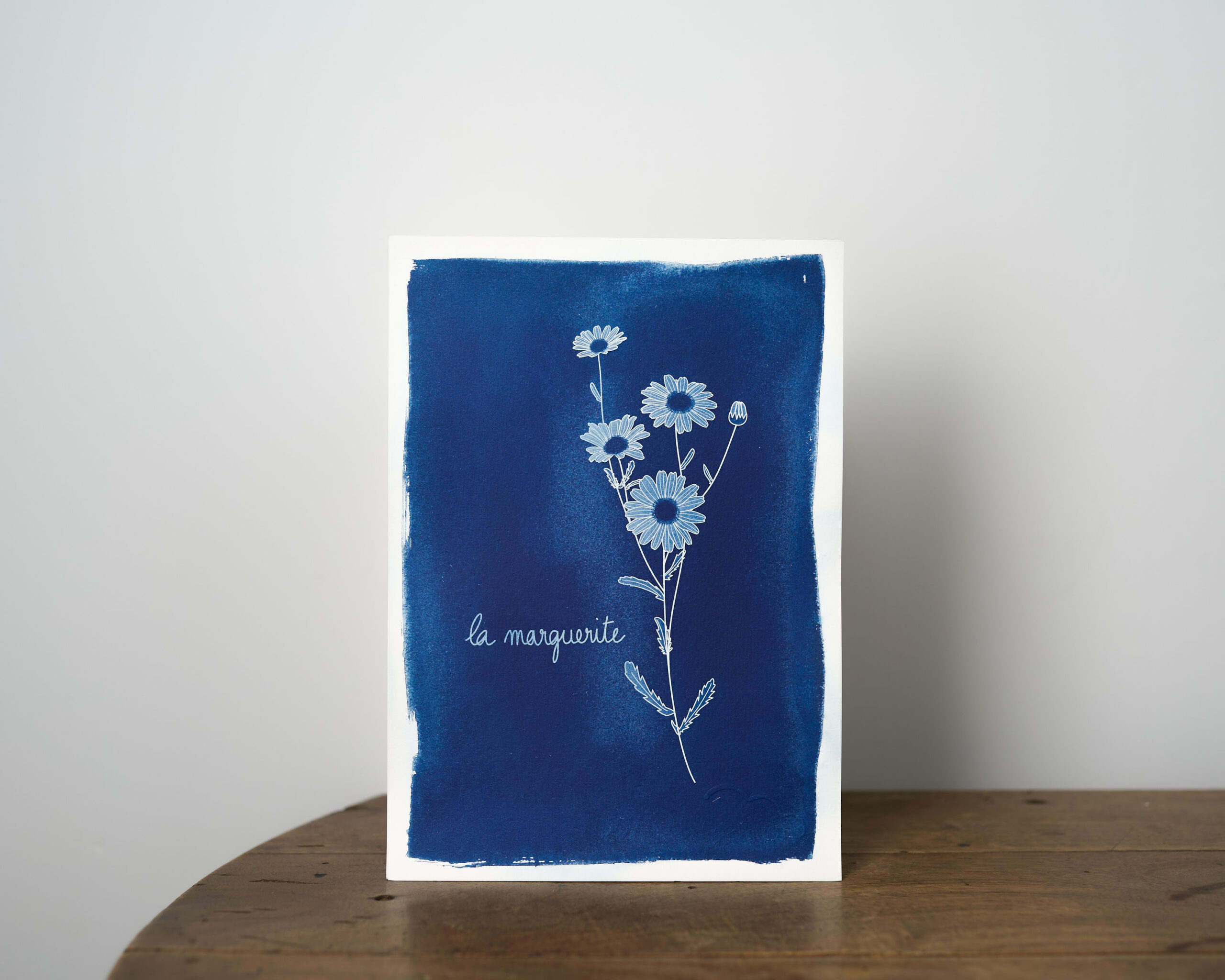 fleur-marguerite2-A4