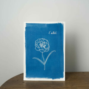 affiche A4 cyanotype - oeillet