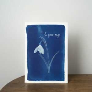 Affiche A4 en cyanotype - perce neige