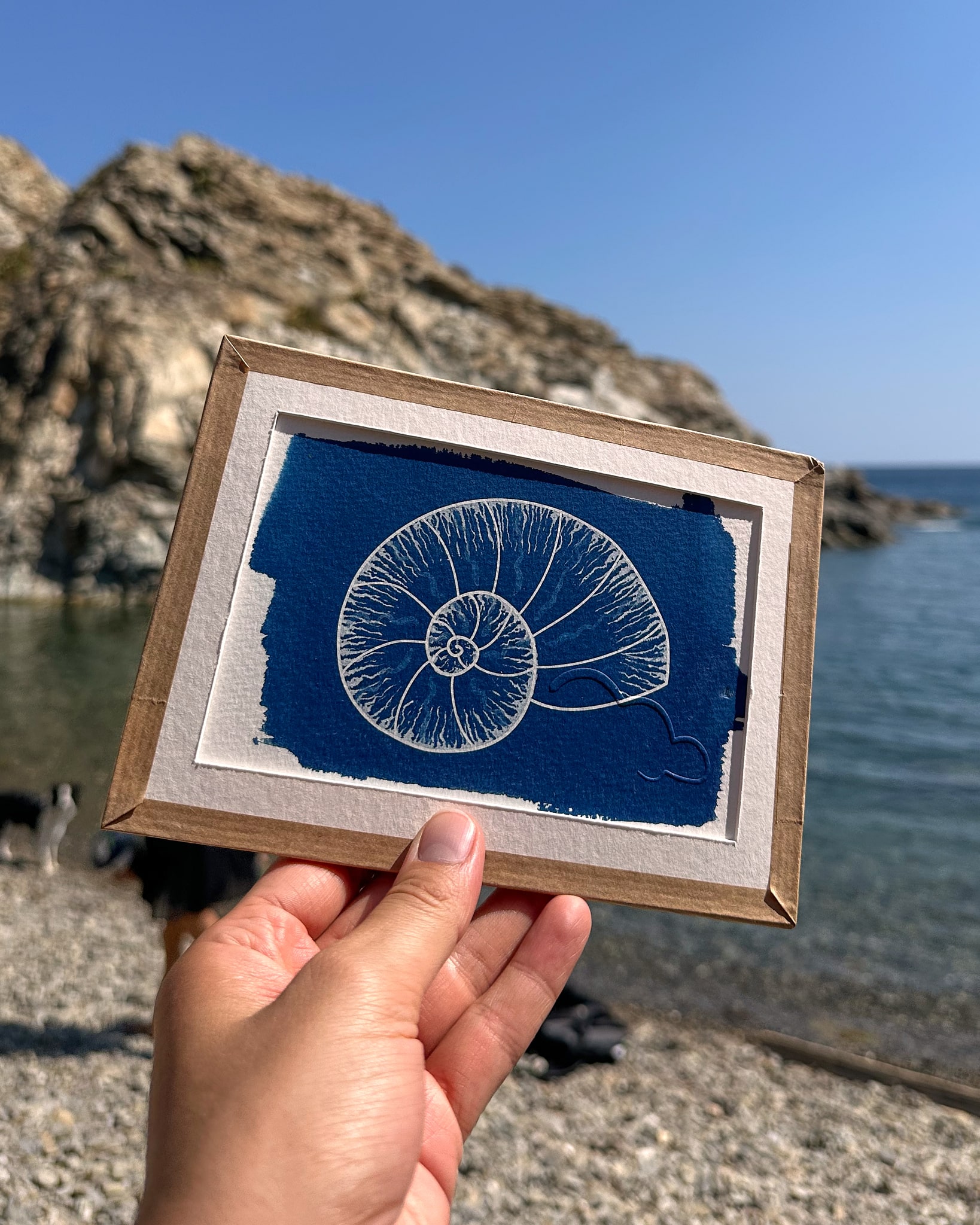 L'ammonite – Image 4