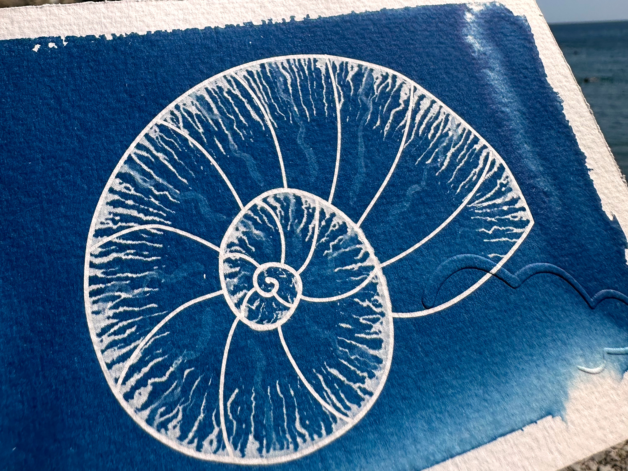 L'ammonite – Image 2