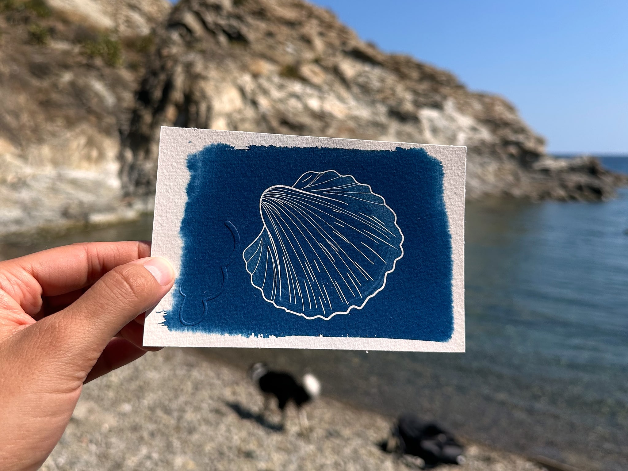 La coque – Image 2
